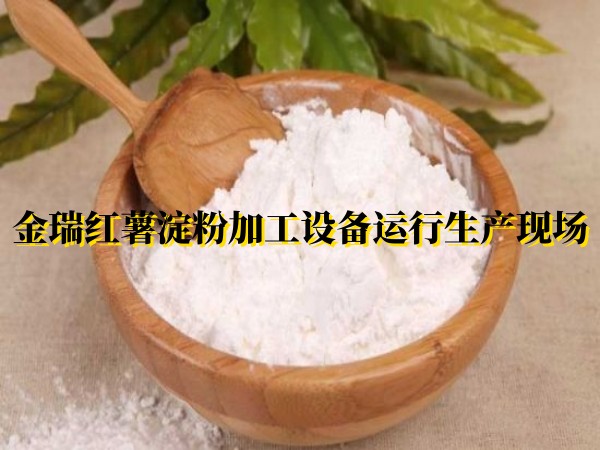 金瑞紅薯淀粉加工設(shè)備運(yùn)行生產(chǎn)現(xiàn)場